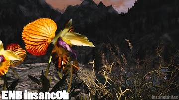 [1080p] ENB insane0h - teaser/preview