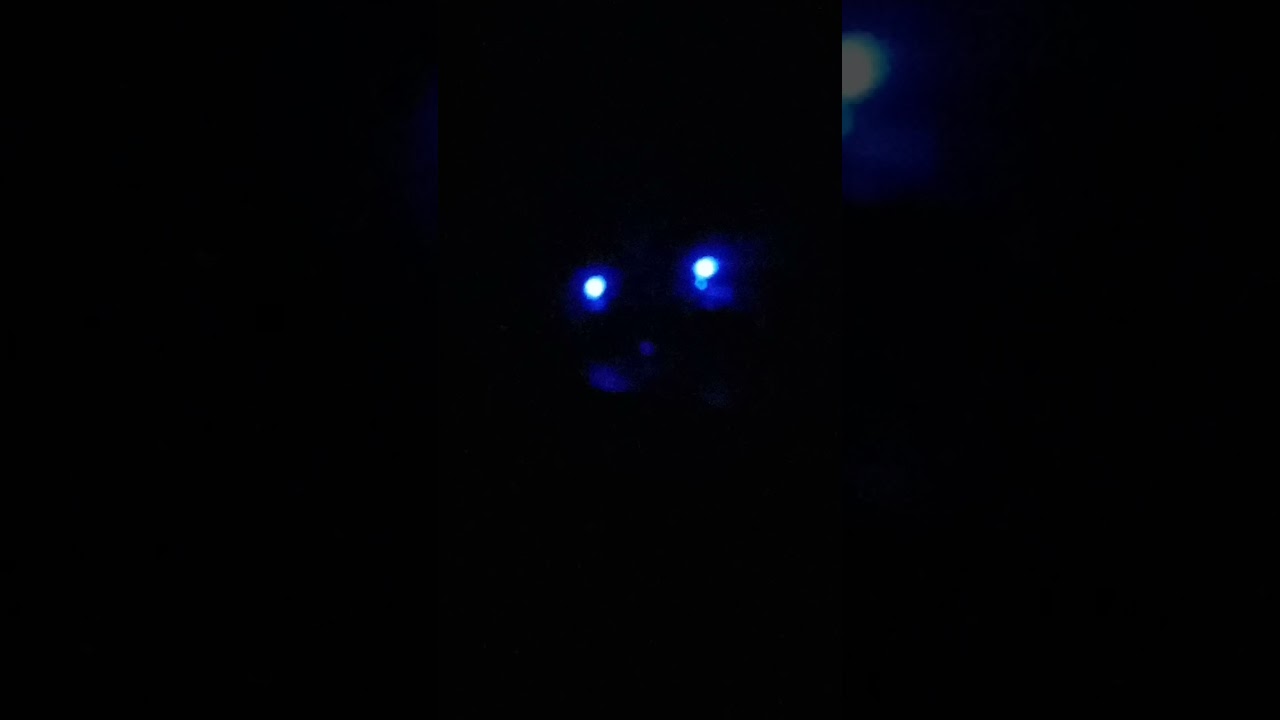 хальт двери в реальности 😰//halt doors🚪 👁 in real life 😧😱😨😰