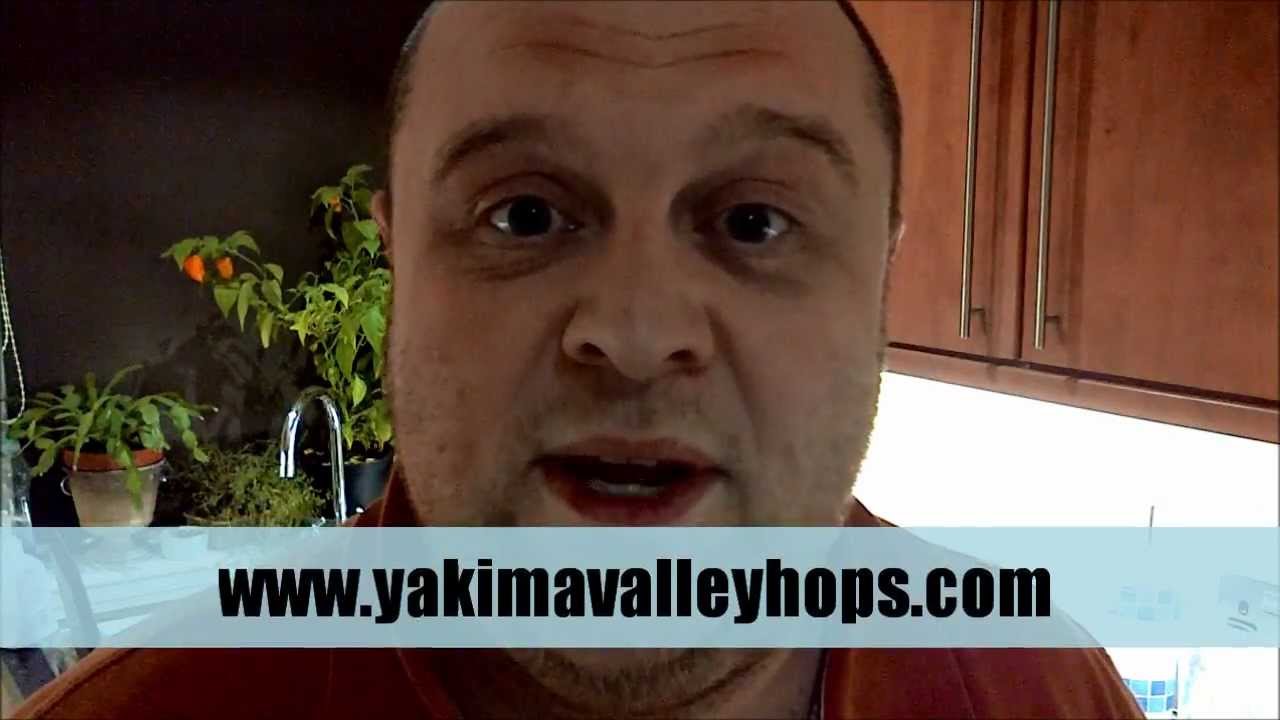 Home Brew Wednesday - MOAR HOPS!