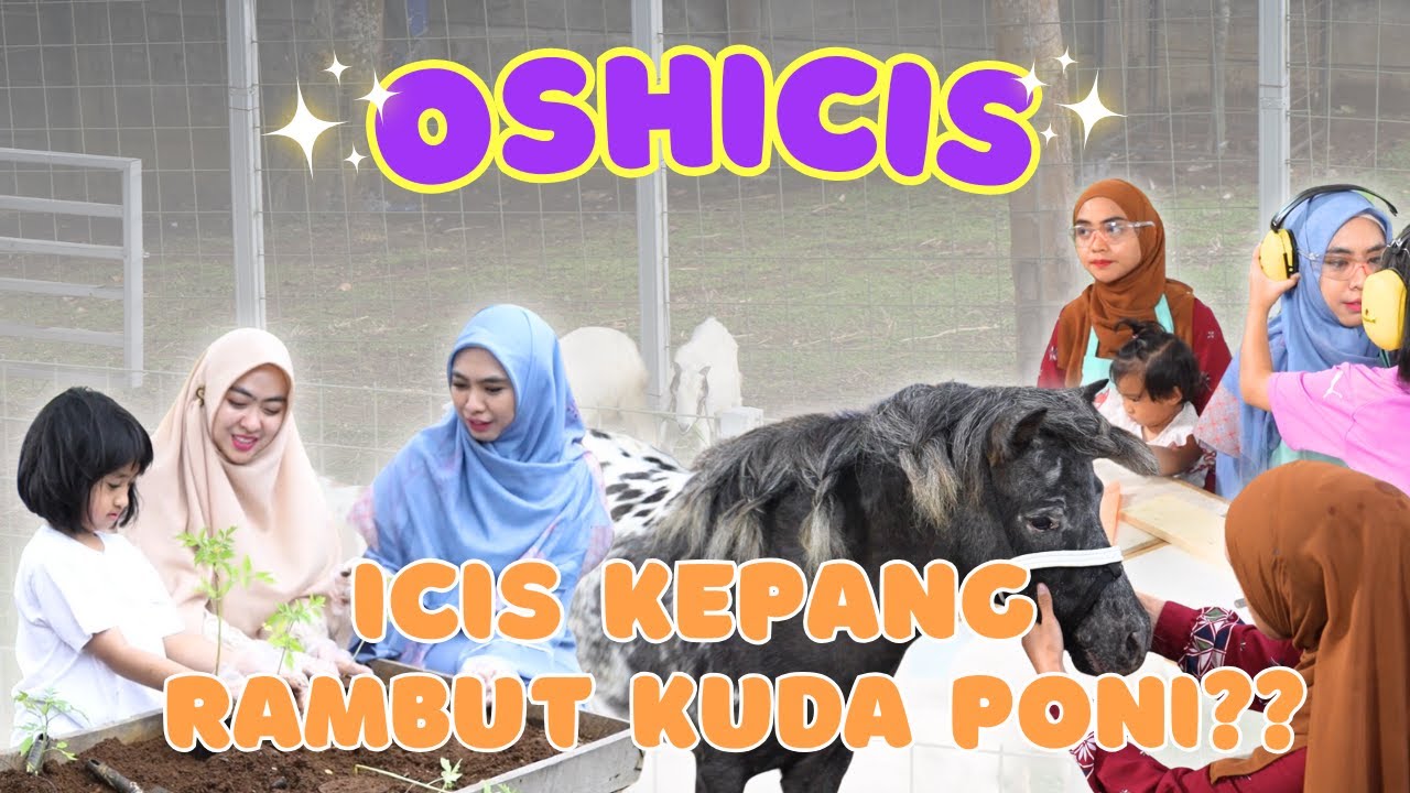 OSHICIS DITANTANG GENDONG ANAK KAMBING?!!