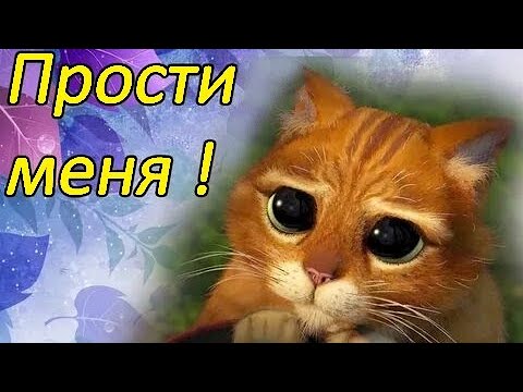 🙏Прошу прости меня🙏 / Извини