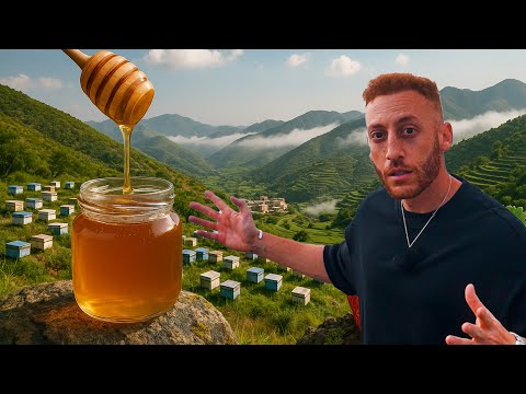 اتصدمت من جنوب السعودية اجمل من اوروبا      