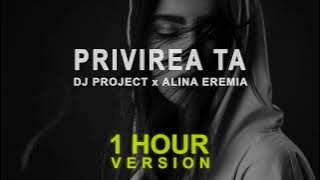 DJ Project x Alina Eremia - Privirea Ta (1 Hour)