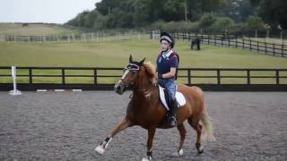 90cm-1m course