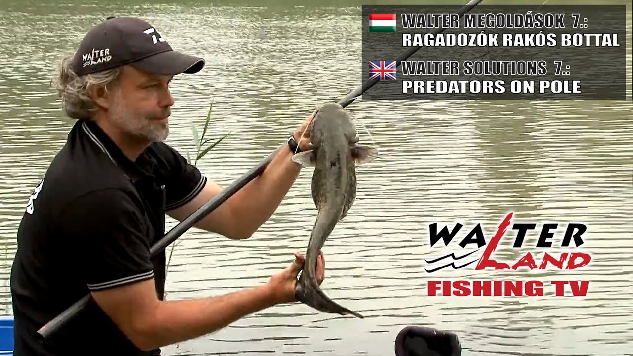 EPISODE 7: Ragadozók rakós bottal - Predators on pole