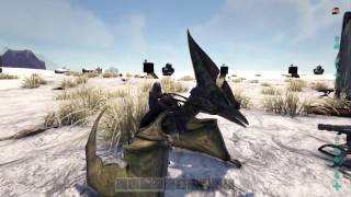 ARK: Survival Evolved - Official Server Super Base Showcase