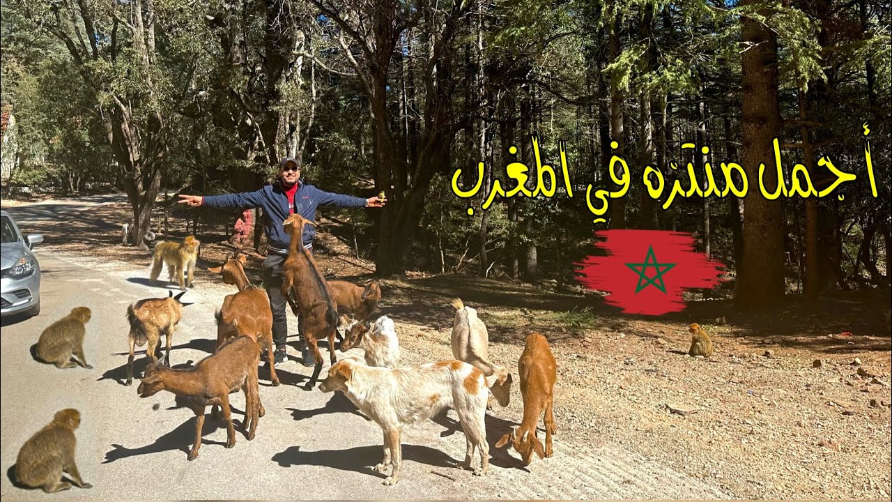 منتزه رأس الماء بين إفران و أزرو أحسن مكان للاستمتاع بالطبيعة 🇲🇦