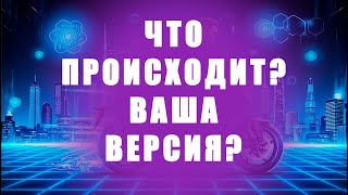 Bitnest и BitGrid рост трафика отзывы 2025