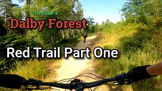 Dalby Forest The Full Red Trail 22 Miler Part One