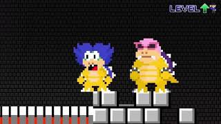 MarioCraft 4 mario super high level world