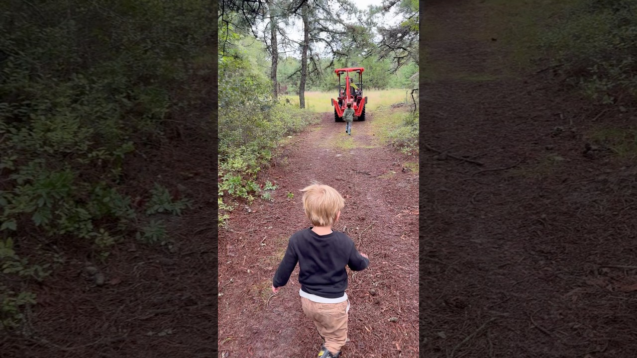 First couple days on the property! Clearing and putting the boys to work!
