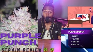 Purple Punch Strain Review + (Medical Benefits & Terpene Profile)