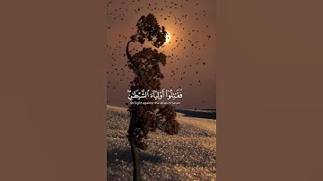 قرآن كريم بصوت جميل | محمد اللحيدان #قران_كريم #اكسبلور #راحة_نفسية #quran #قرآن