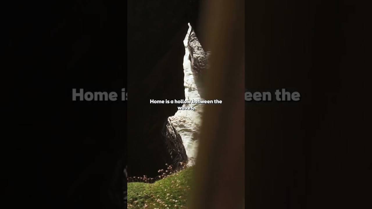 Michael Longley's Loving Tribute to Carrigskeewaun #fyp #ireland #poetry