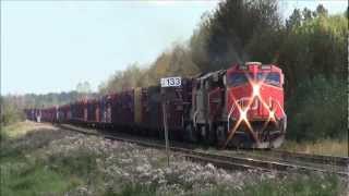 Through The Centerbeams CN 347 198 Meet @ MP 133 30AUG12 ES44DC 2260 and SD70M-2 8928 Leading