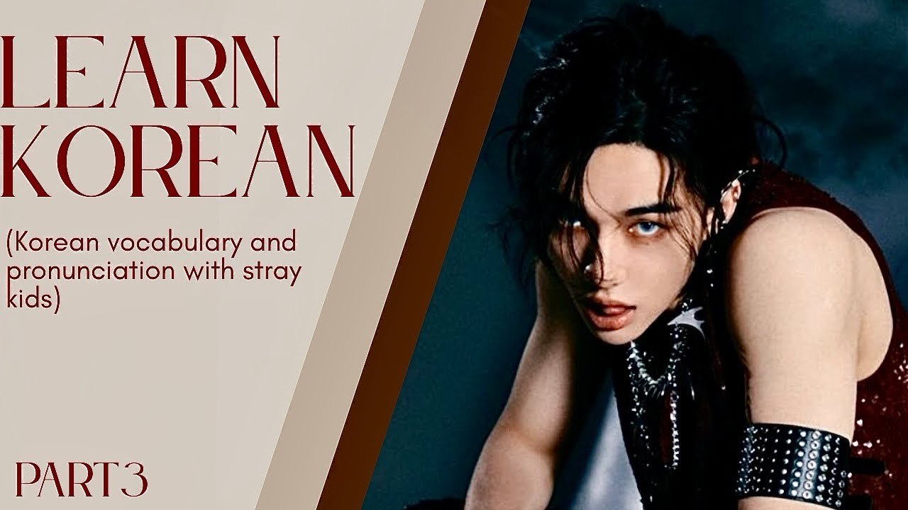 Learn Korean with Stray Kids – LALALALA | Part 3 | Korean through k-pop 