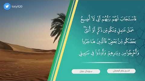 | خواتيم سـورة آل عمران | بترتيل تحبيري ومونتاج يحاكي الآيات | للشيخ د. ماهر المعيقلي