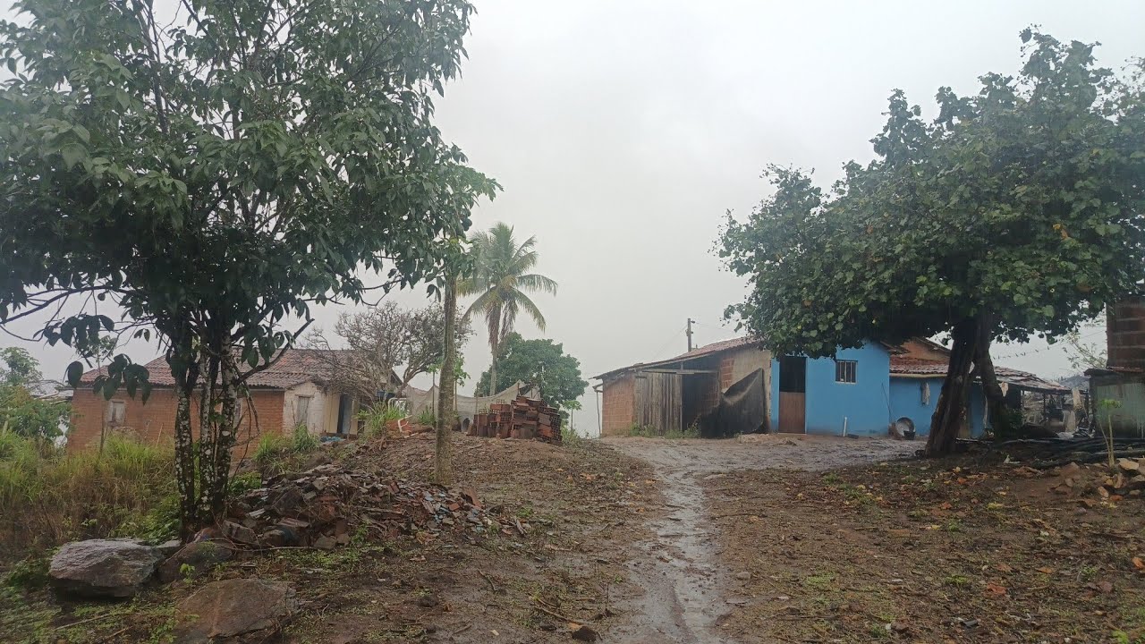 Temporal de chuva ⛈️ muito forte com relâmpagos e trovões alagou tudo aqui no sítio. 