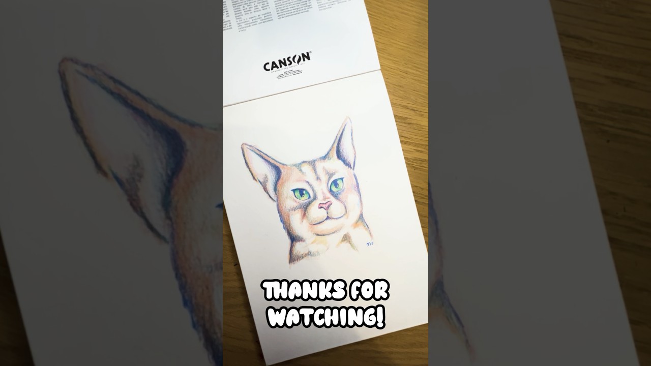Lets draw a ginger cat!🧡🐈