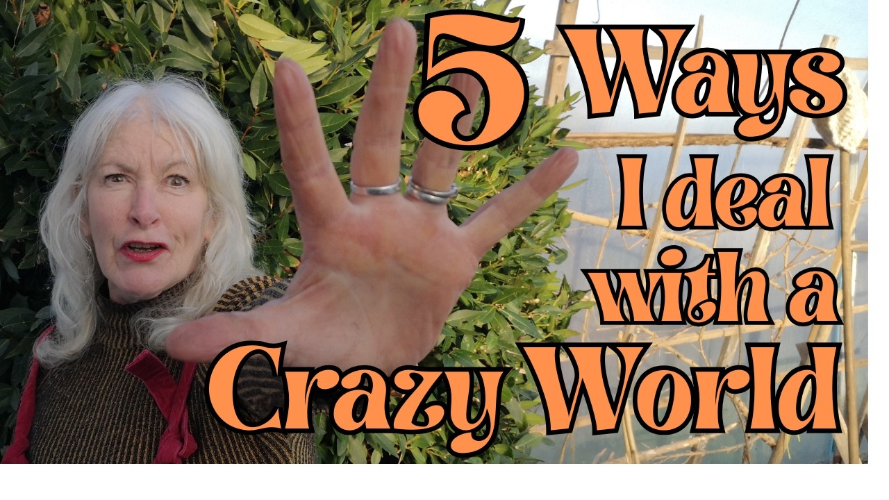 5 Ways I deal with a Crazy World