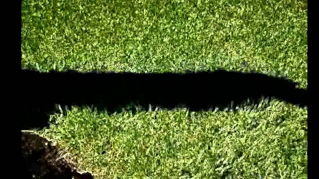 K  DOLLA AKA "K SAVAGE" - BITCH IM REAL