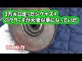３万キロ走ったシグナスXのクラッチがエライ事になってた　#シグナスX2型
