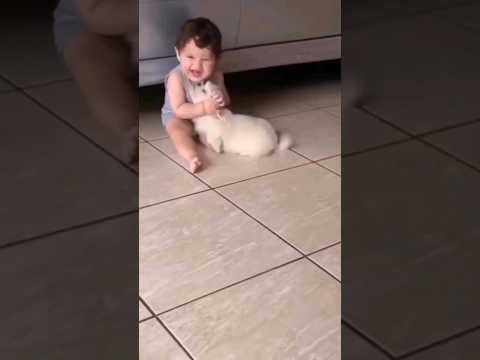 أجمل لعب طفل مع كلب صغير كيوت 