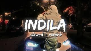 INDILA - Ainsi Bas La Vida 😈 || Slowed   Reverb || Viral Tiktok Song #indila #ainsibaslavida
