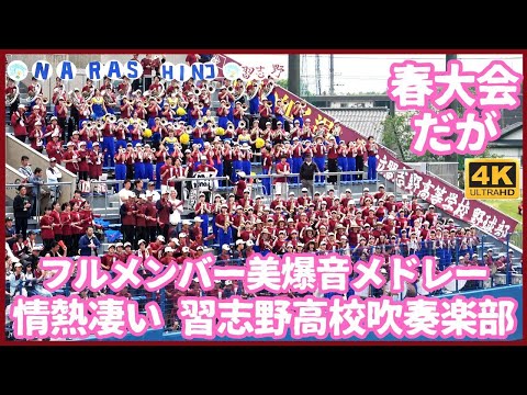 春大会なのにフルメンバー本気の美爆音 習志野高校吹奏楽部 応援メドレー 前日は1年生のみ この決勝は先輩に支えられ安心 千葉県高校野球応援2025 対専大松戸
