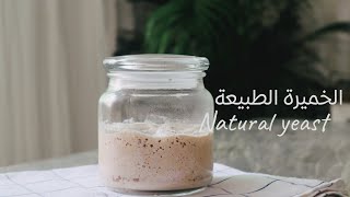 الخميرة الطبيعة |natural yeast