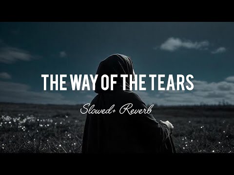 The Way of the Tears | Slowed and reverb | Muhammed Al Muqit || Soothing nasheed 💖💖