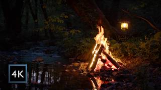 Hidden Campfire by the Forest Stream — Deep Night Ambience for Sleep & Relaxation (4K)