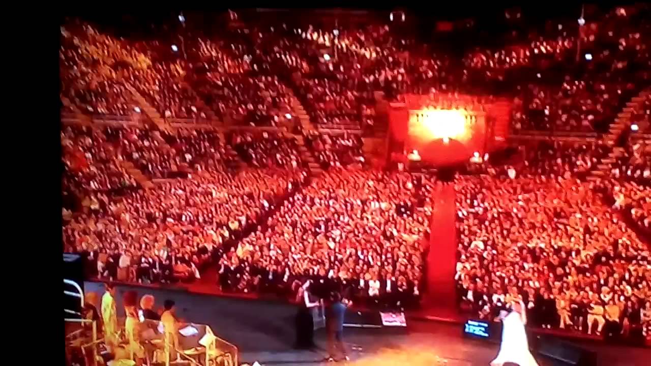 VID 20100406 120944  ALBANO  E  ROMINA  in concerto  all'arena  di verona   2015