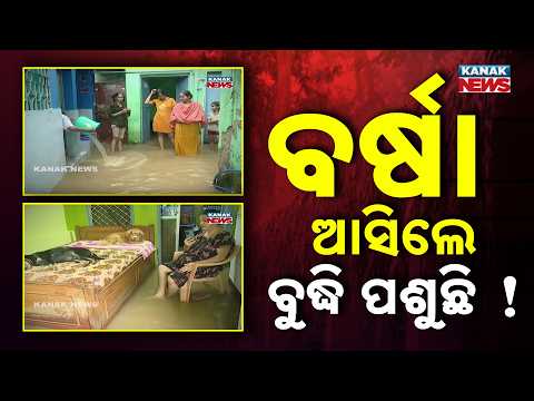 ବର୍ଷା ଆସିଲେ ବୁଦ୍ଧି ପଶୁଛି ! Odisha Flood Update | Continuous Rain Delays Water Drainage Across Odisha