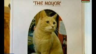 На Аляске умер кот-мэр Стаббс На Аляске умер кот-мэр Стаббс