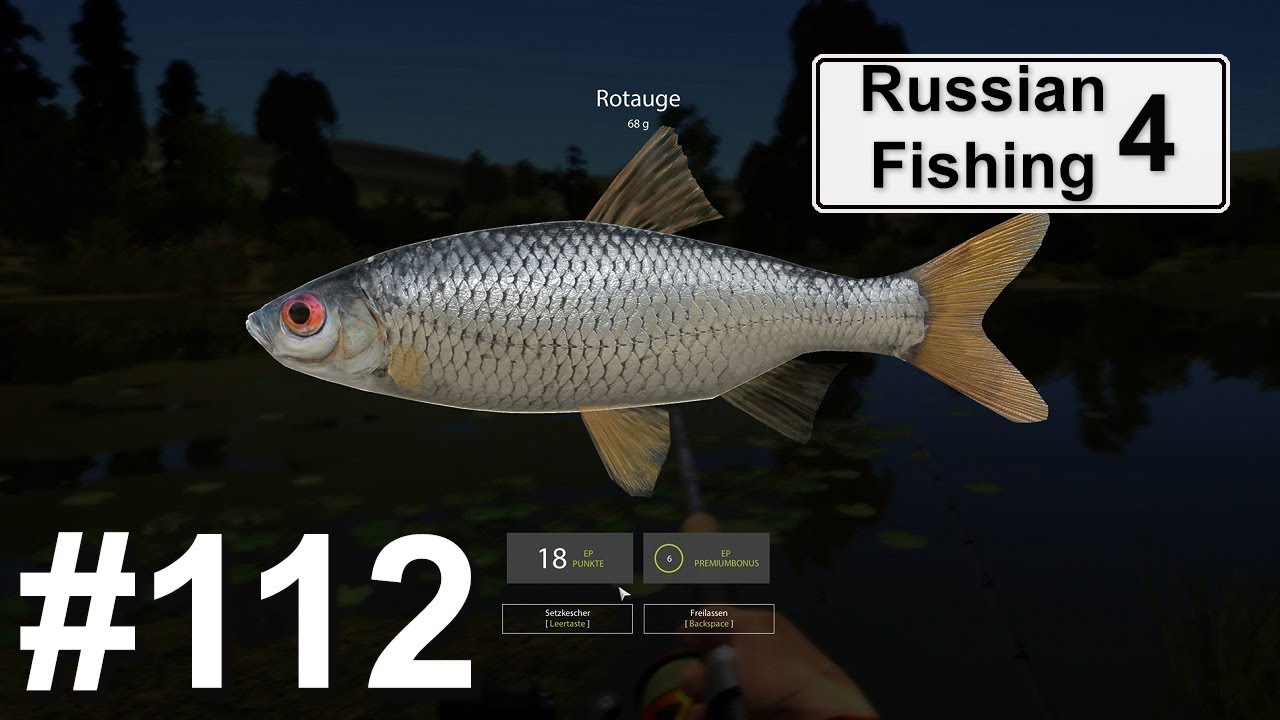 How Much Is The Fish Auf Deutsch