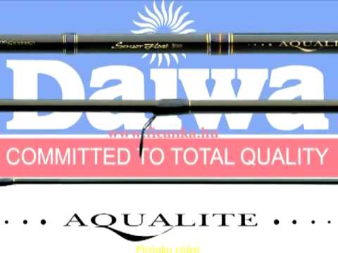 Daiwa Aqualite Sensor Float Tele 4,50m 10-35g Matchrute Teleskoprute Friedfisch Daiwa Aqualite Sensor Float Tele 4,50m 10-35g Matchrute Teleskoprute Friedfisch