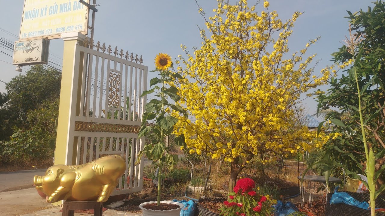 @thanh.nhaatcangiuoc9941 .một siêu phẩm mặt tiền đường nhựa thuận tiện mua bán kd.0936828474