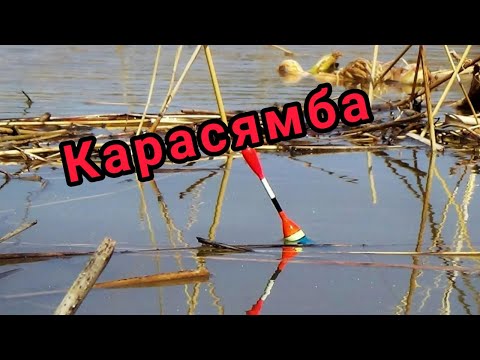 Видео: НА ПОПЛАВОК. КИЛОГРАММОВЫЕ КАРАСИ ВЕСНОЙ клюют только на ЭТО.УБИЙЦА КАРАСЯ курит. Работаета насадка