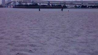 catchball