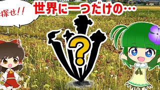 Ultimate] It's not just rare!? Let's go and choose the one and
