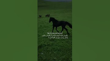 تلاوة خاشعة 🫀 #اكسبلور #المصحف #الرحمن #لايك #ياسر_الدوسري #quran
