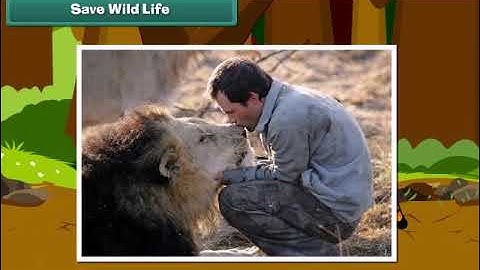 Class 2 EVS | Animals Around Us - Explanation /in English