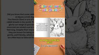 Rabbit coloring pages with calm nature scenes Guide