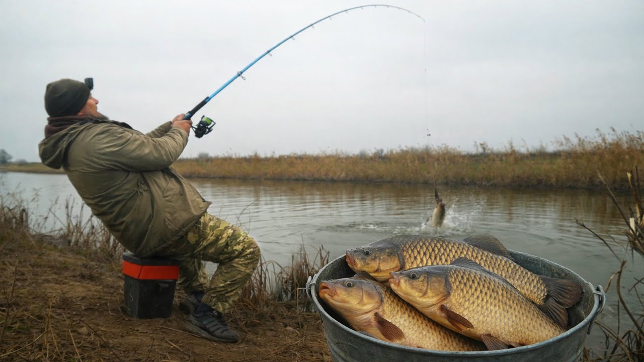 ВЕРНУЛСЯ НА РЕЧКУ ГДЕ КАРАСЕЙ ТЬМА! ЗИМНИЙ ЖОР КРУПНОГО КАРАСЯ!
