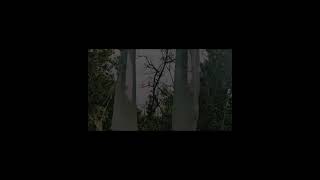 Missing someone 🙃 #travel #sea #weather #youtubeshorts