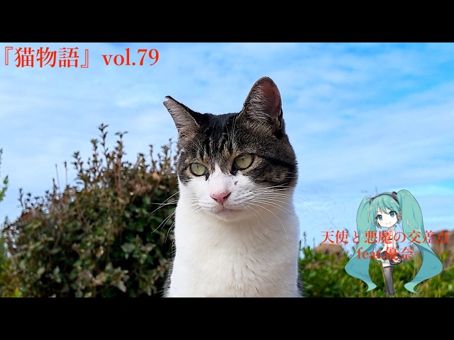 猫物語』vol.79 - YouTube