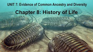 PowerPoint Lecture Unit 7 (Chapter 8 - History of Life)