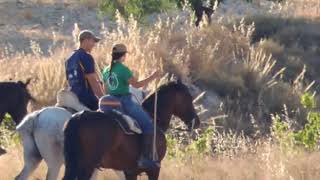 ENCIERROS VEREDA VALENTIN