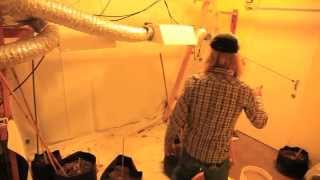 Grow Cannabis - Indoor Grow Rooms - by Jorge Cervantes